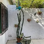 Magiolo House Dom wakacyjny Porto Azzurro